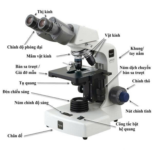 Hiệu Chuẩn Microscope & Video Measuring (Kính Hiển Vi)- Dịch vụ hiệu chuẩn nhanh G-TECH